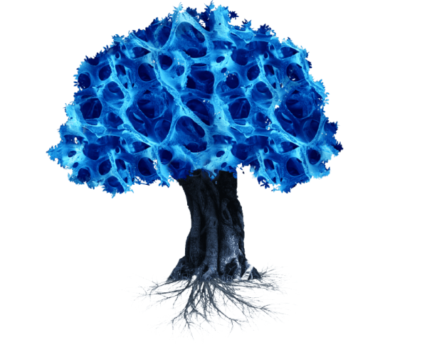 Allodyn allograft boombotstructuur